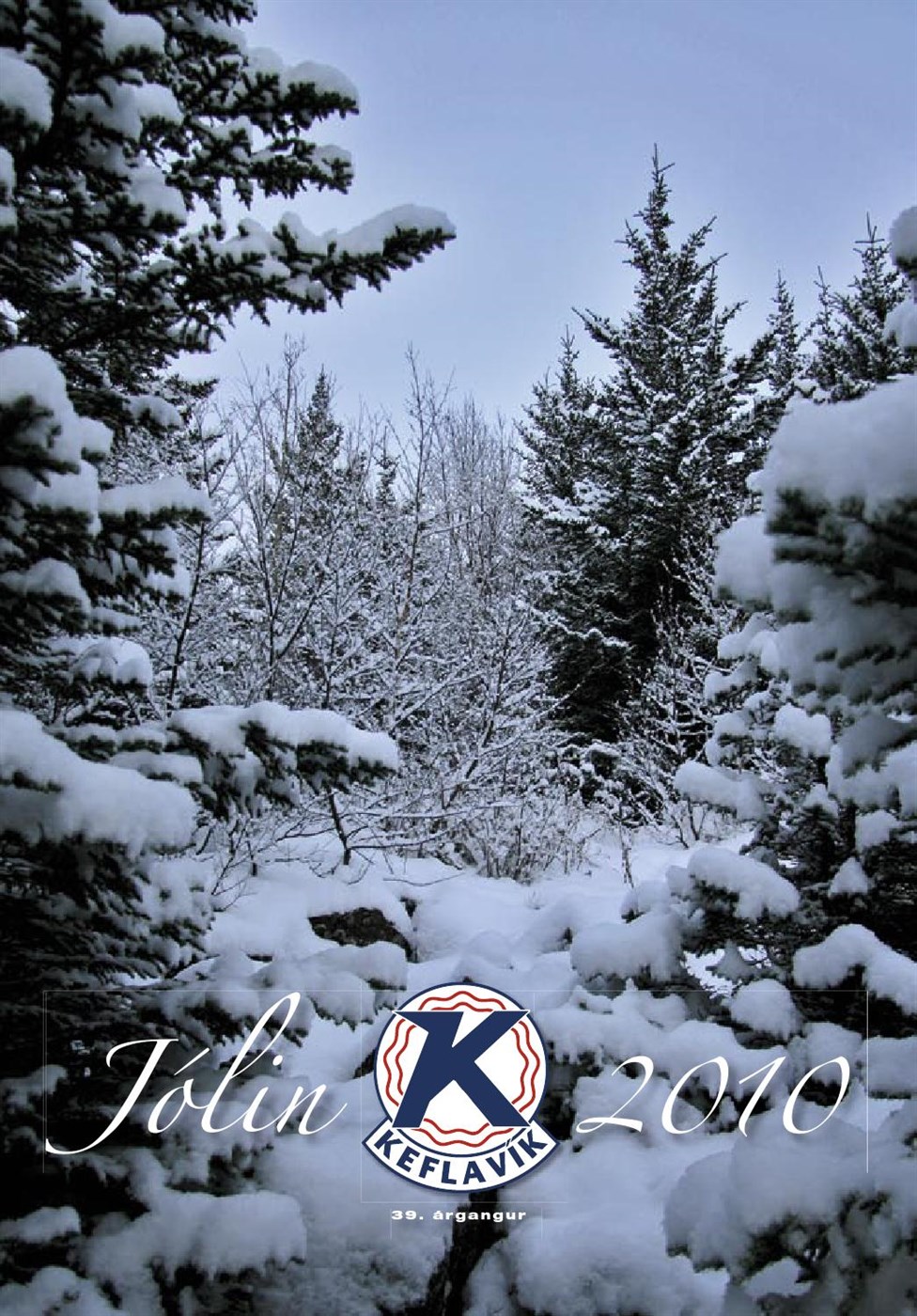 Jólin 2010
